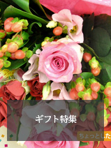 ギフト特集