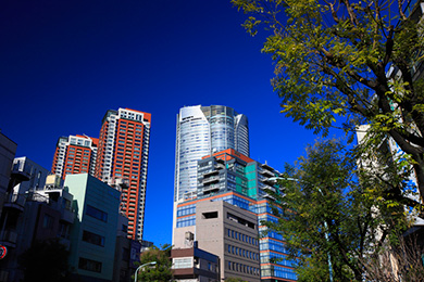 屋外でも楽しめるスポットがたくさん